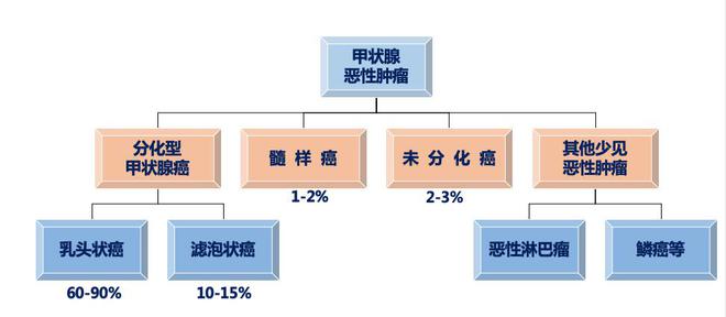 泛亚电竞下载科普｜甲状腺肿瘤患者专享：智慧医疗带来的精准科普