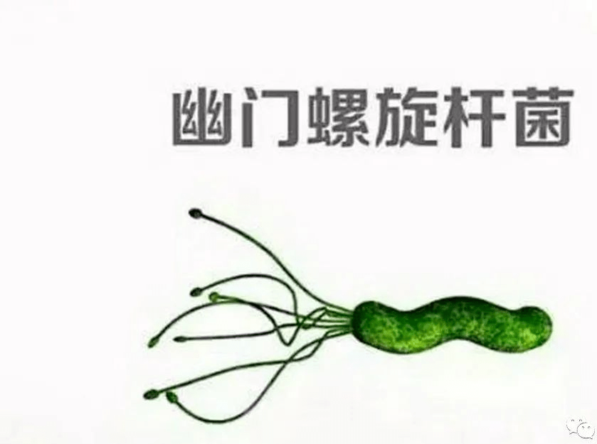 31条普通人必知的医泛亚电竞网址学常识很多人错了大半辈子快看看