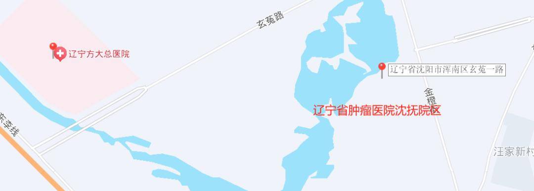 沈阳再现泛亚电竞入口医疗新区 超26万平三甲医院即将建成(图7)