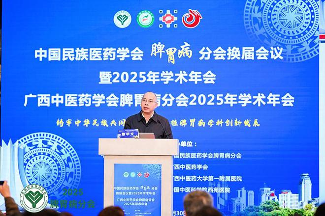 泛亚电竞下载国内外专家学者齐聚南宁建言脾胃病民族医治疗发展