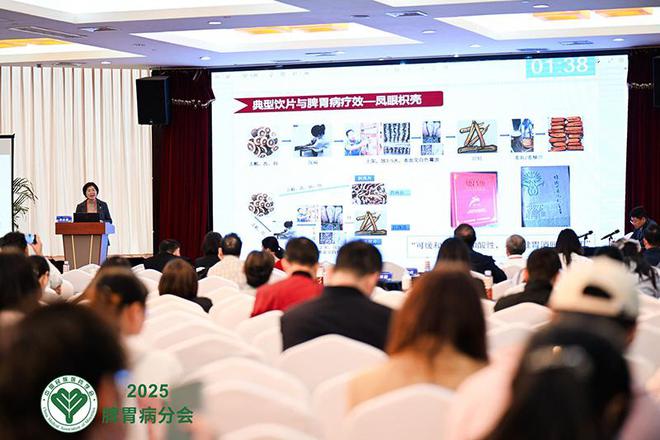 泛亚电竞下载国内外专家学者齐聚南宁建言脾胃病民族医治疗发展(图2)