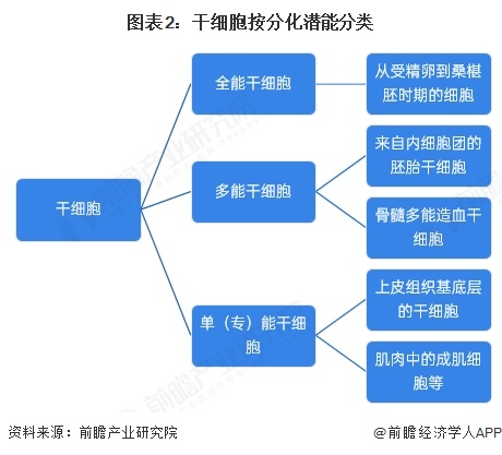 泛亚电竞注册预见2025：2025年中国干细胞医疗行业全景图谱（附市场现状竞争格局和发展趋势等）(图2)