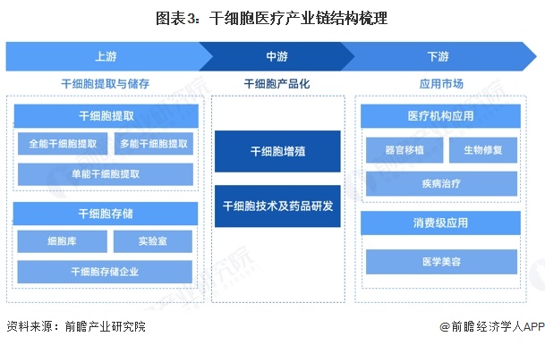 泛亚电竞注册预见2025：2025年中国干细胞医疗行业全景图谱（附市场现状竞争格局和发展趋势等）(图3)